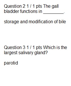 Lecture Final Exam